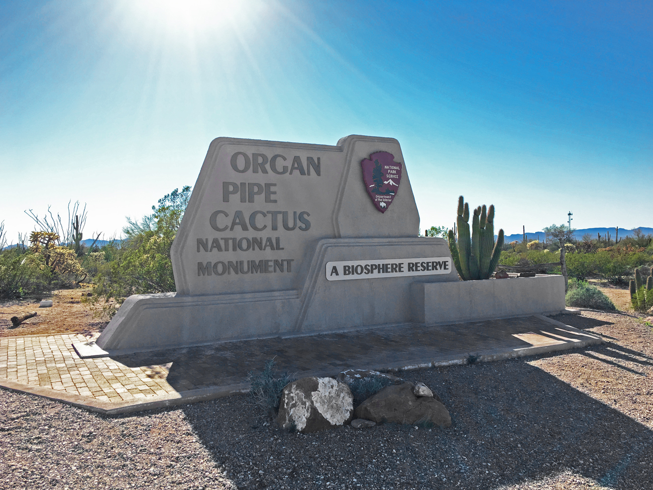 Birds - Organ Pipe Cactus National Monument (U.S. National Park Service)