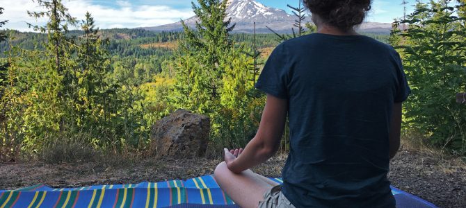 Elk Meadows Part 1 – A Perfect Spot for Another SIBO Treatment