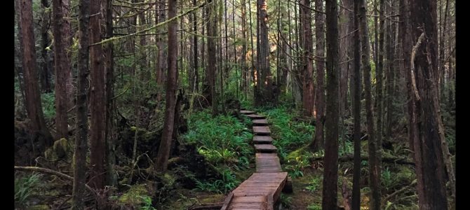 Olympic National Park – Ozette Lake and Cape Alava Trail